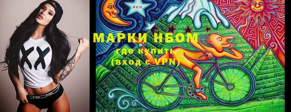 хмурый Белая Холуница