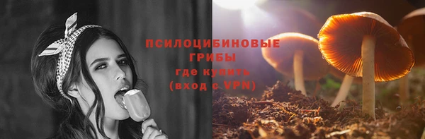 первитин Новозыбков