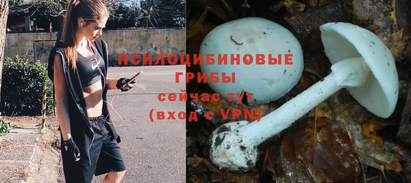 мяу мяу кристалл Гусиноозёрск