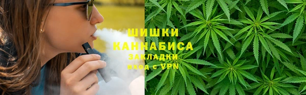 первитин Новозыбков